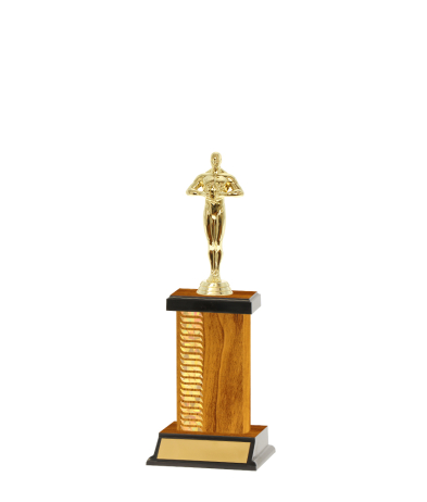 Pattern Trophy on P/Base <Br>17cm Plus Figurine
