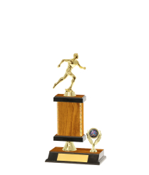  Gd Edged Trophy on P/Base <Br>19cm Plus Figurine