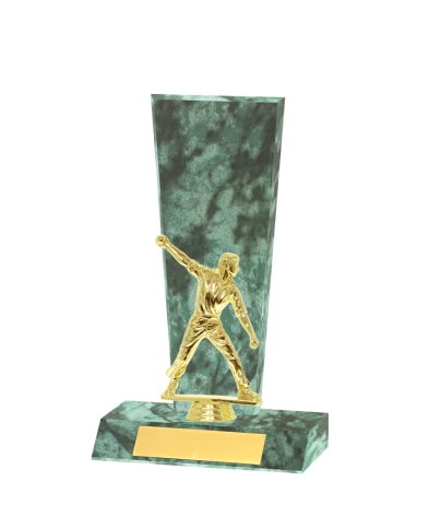  Curved Edged Trophy <Br>25.5cm