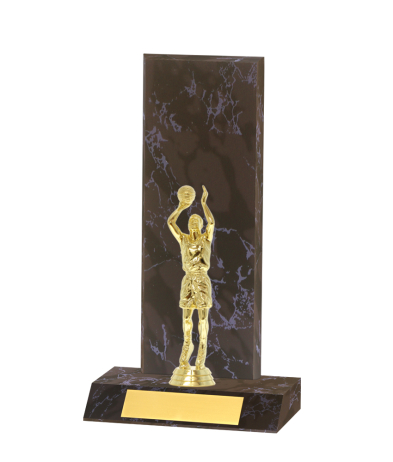  Curved Edged Trophy <Br>28cm