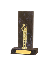  Curved Edged Trophy <Br>25.5cm