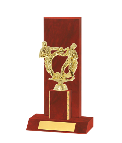  Curved Edged Trophy <Br>28cm