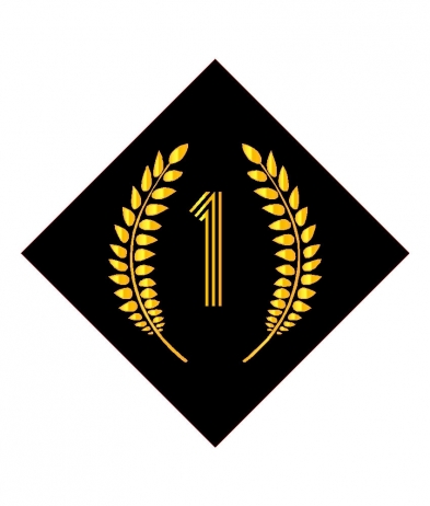 1ST701 1st Place - Sports Insert