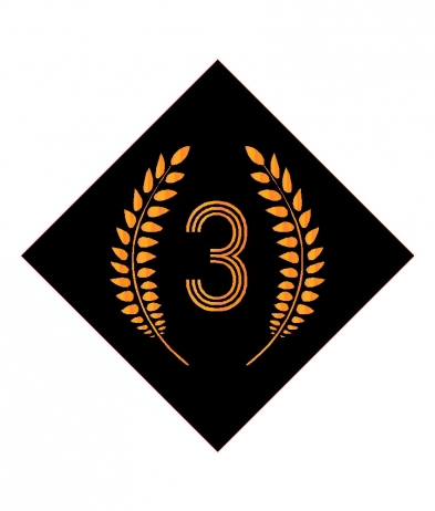 3RD701 3rd Place - Sports Insert