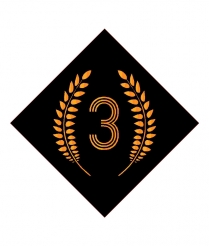 3RD701 3rd Place - Sports Insert