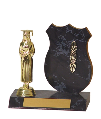  Shape Trophy <Br>15cm