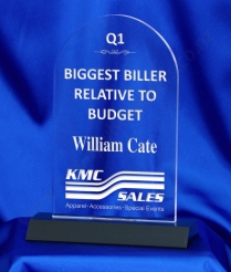 6021 20.5cm Acrylic Award (Dome)