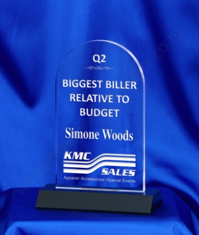 6022 17.5cm Acrylic Award (Dome)