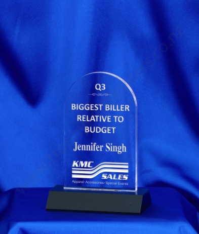 6023 14.5cm Acrylic Award (Dome)