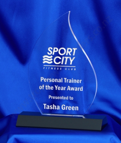 6041 20.5cm Acrylic Award (Flame)