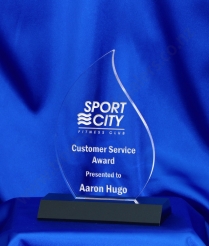 6042 17.5cm Acrylic Award (Flame)