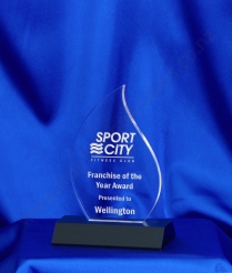 6043 14.5cm Acrylic Award (Flame)