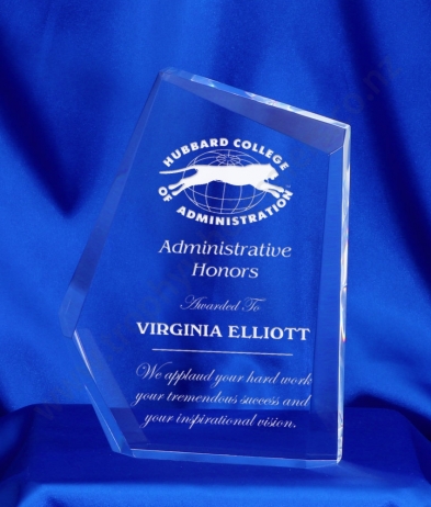 612 18cm Acrylic Award