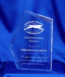 612 18cm Acrylic Award