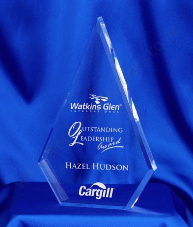 613 21.5cm Acrylic Award