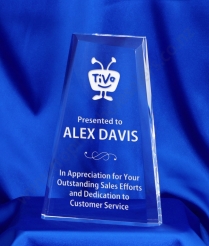 614 20.5cm Acrylic Award