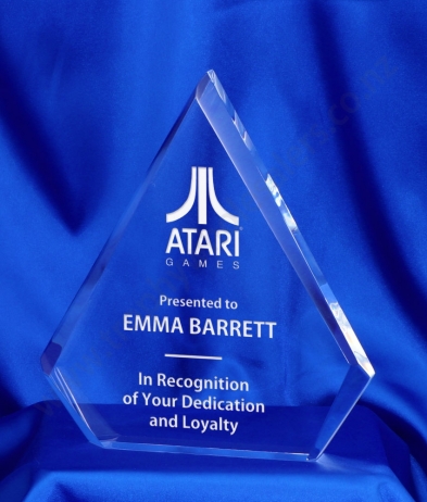 615 20.5cm Acrylic Award