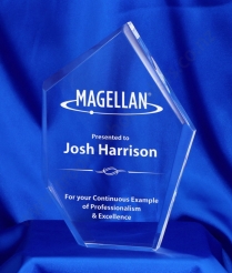 616 23cm Acrylic Award