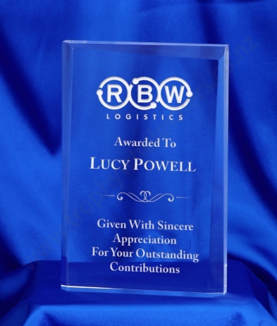 618 20.5cm Acrylic Award