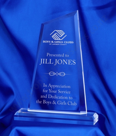 621 24cm Acrylic Award