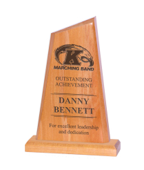 621R Solid Wood Award 24cm