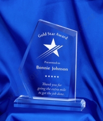 622 19.5cm Acrylic Award