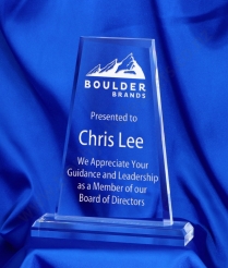 624 22cm Acrylic Award