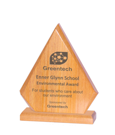 625R Solid Wood Award 22cm