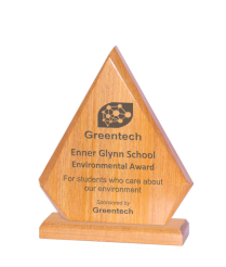 625R Solid Wood Award 22cm