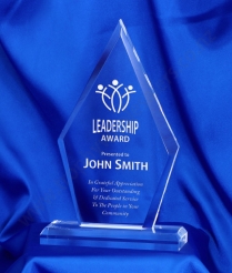 627 24cm Acrylic Award