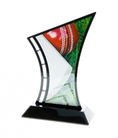 631CRIC 19.5cm Printed Cricket Acrylic Award