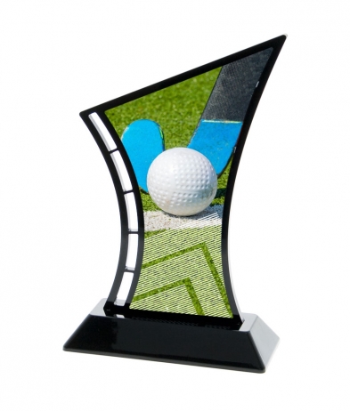 631HOCK 19.5cm Printed Hockey Acrylic Award