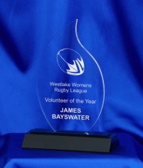 634 18cm Acrylic Award