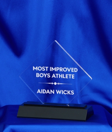 638 13.5cm Acrylic Award