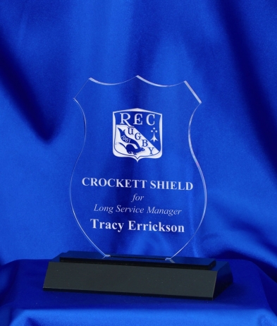 639 15.5cm Acrylic Award