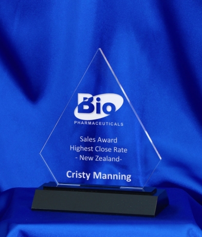 644 16cm Acrylic Award