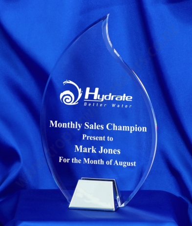 6731 22cm Nickel Base Acrylic Award