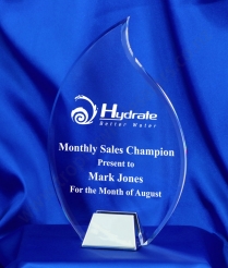 6731 22cm Nickel Base Acrylic Award