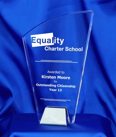 6741 23cm Nickel Base Acrylic Award