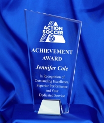 6751 23cm Nickel Base Acrylic Award