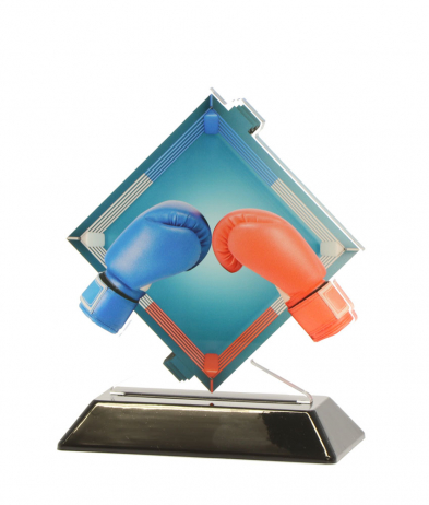 6901BOX 15.5cm Printed Boxing Acrylic Award