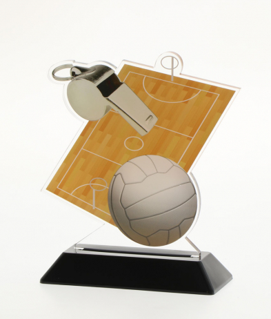 6901NETB 15.5cm Printed Netball Acrylic Award