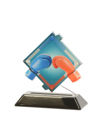 6902BOX 13.5cm Printed Boxing Acrylic Award