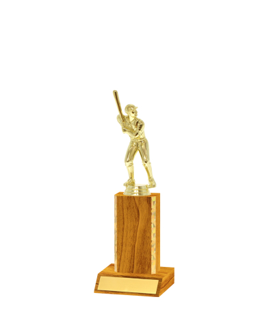  Gd Edged Trophy <Br>12cm Plus Figurine