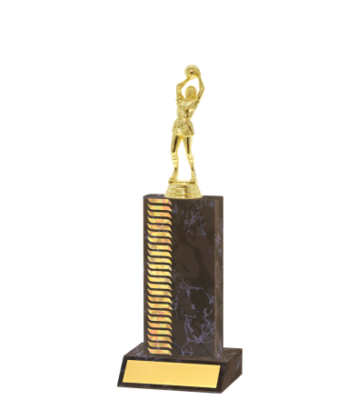  Pattern Trophy <Br>17.5cm Plus Figurine