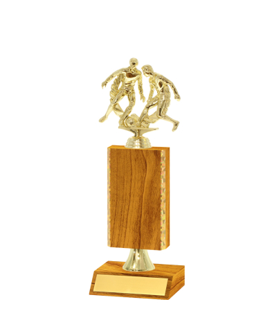  Gd Edged Trophy <Br>18cm Plus Figurine