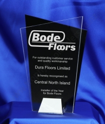 ACB008 21cm Multi Layered Nickel Base Acrylic Award