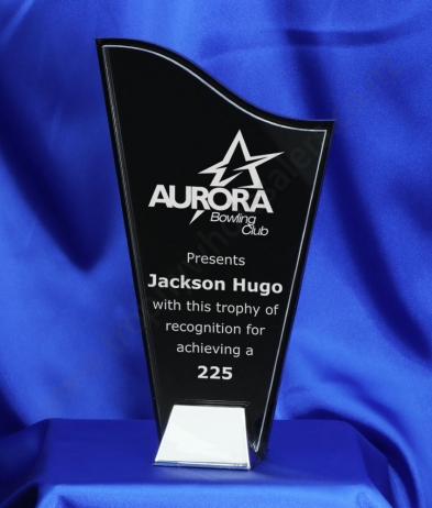 ACB012 23cm Multi Layered Nickel Base Acrylic Award