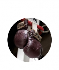 BOX06 Boxing - Dome 25mm