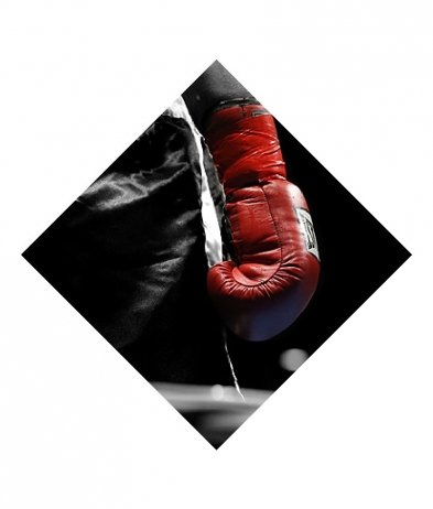BOX701 Boxing Glove - Sports Insert
